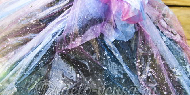 Рецепт малосольных огурцов в пакете