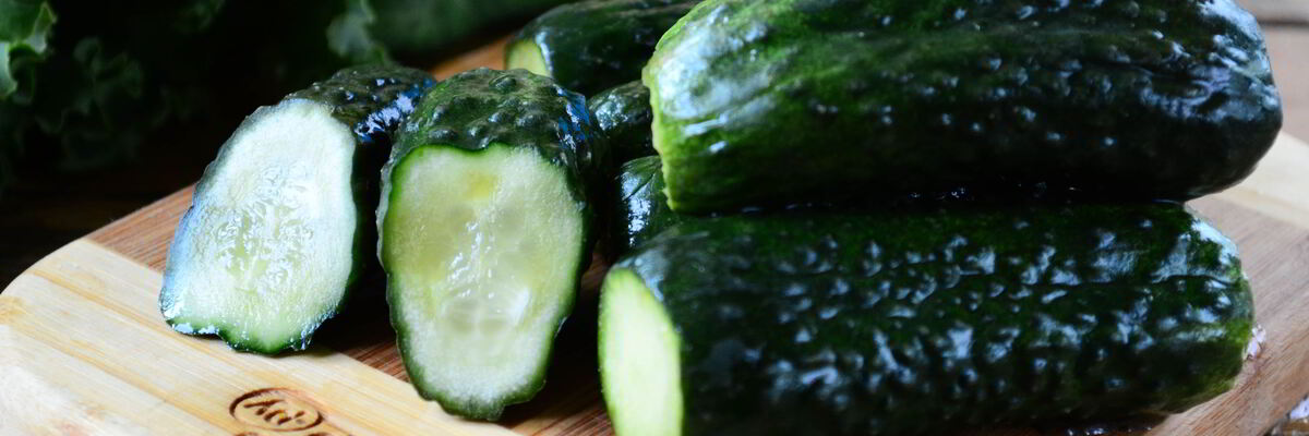 Рецепт Малосольных огурцов за сутки