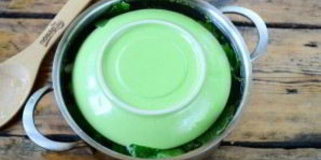 Рецепт малосольных огурцов за сутки