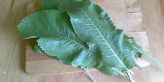 Рецепт малосольных огурцов