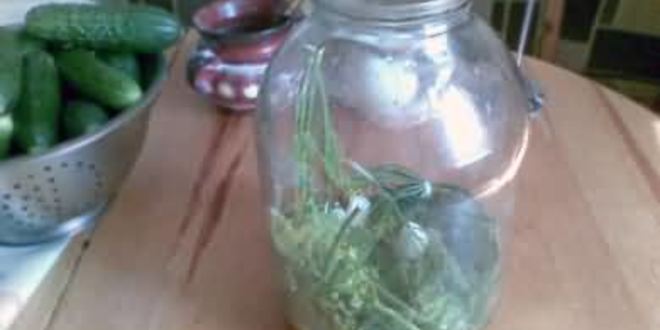 Рецепт малосольных огурцов