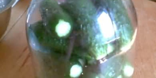 Рецепт малосольных огурцов