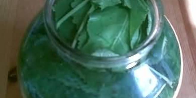 Рецепт малосольных огурцов