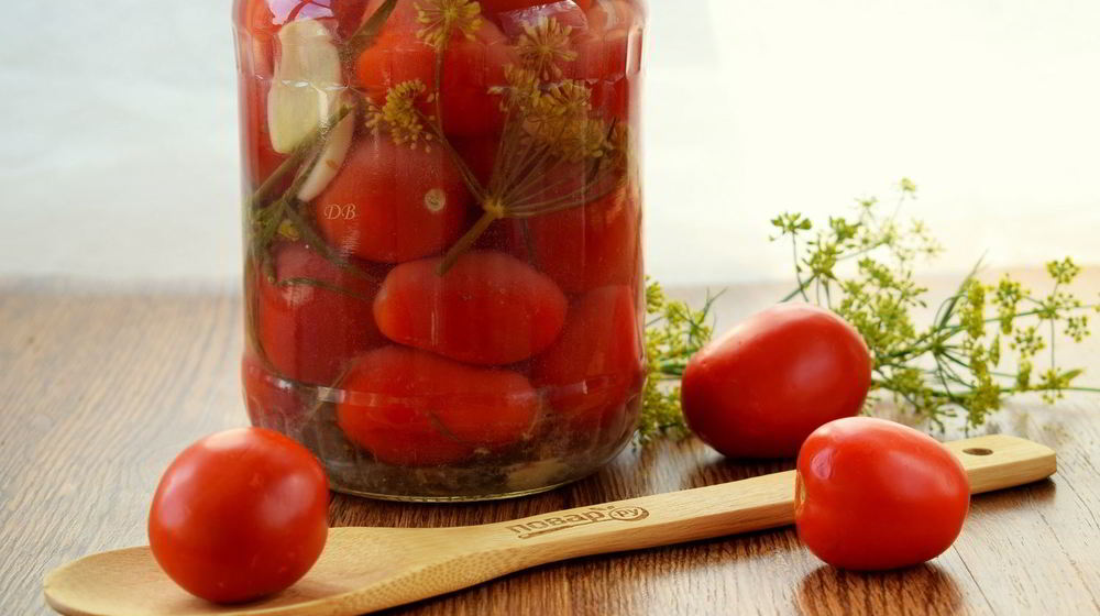 Как приготовить малосольные помидоры классические
