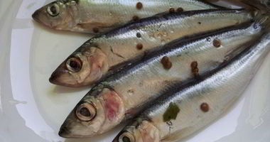 Рецепт Салаки пряного посола