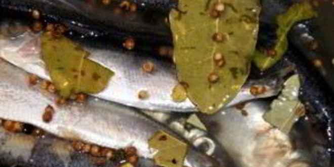 Рецепт салаки пряного посола