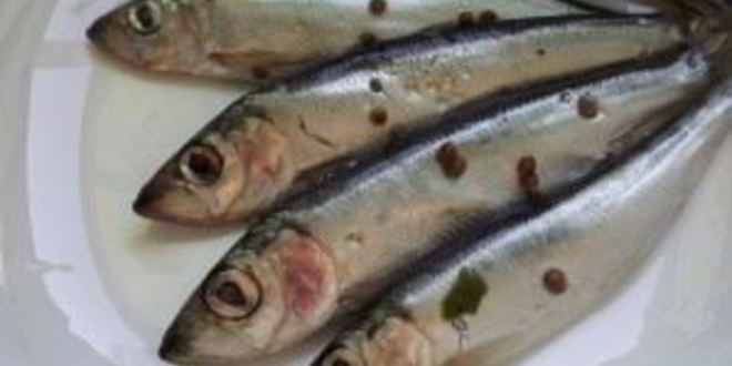 Рецепт салаки пряного посола