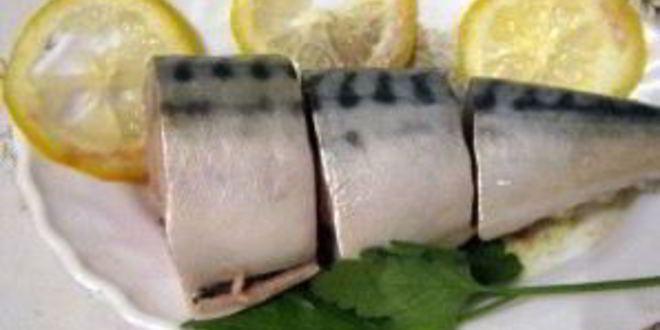 Рецепт скумбрии домашней малосольной