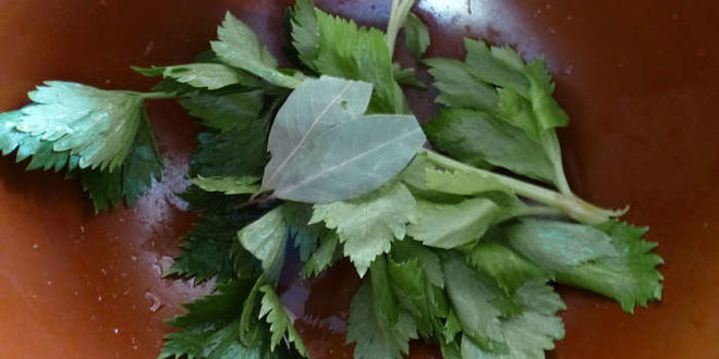 Рецепт соленых помидоров черри