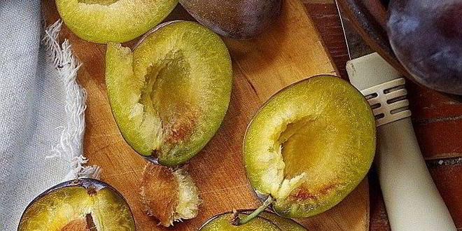 Рецепт соленых слив на зиму