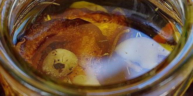 Рецепт соленых слив на зиму