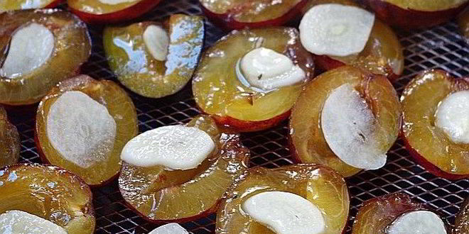 Рецепт соленых слив на зиму