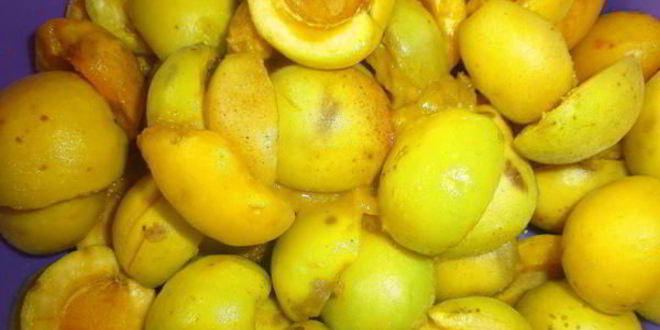 Рецепт сырого варенья из абрикосов