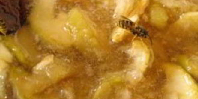 Рецепт варенья из антоновки