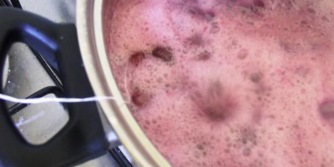 Рецепт варенья из лавровишни