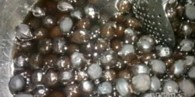 Рецепт варенья из ореха