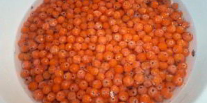 Рецепт варенья из рябины на зиму