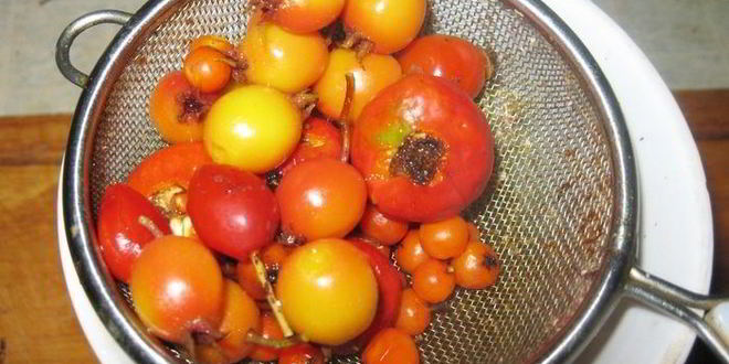 Рецепт яблочного варенья из китайки