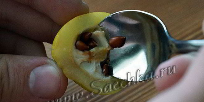 Рецепт японской айвы на зиму