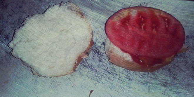 Рецепт бургера с куриной котлетой