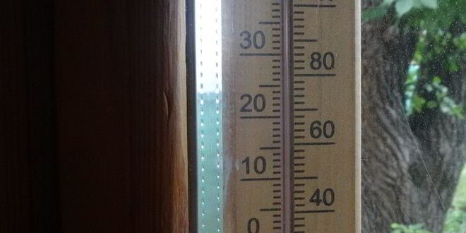 Рецепт бургера с курицей, омлетом и огурцом