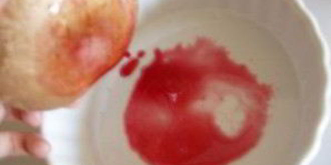 Рецепт бургера веган портобелло