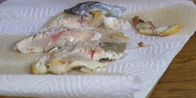 Рецепт бутерброда с белой рыбой и соусом из йогурта и каперсов