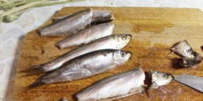 Рецепт бутербродов с килькой