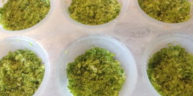 Рецепт чесночной пасты из стрел молодого чеснока