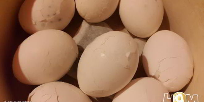 Рецепт фаршированных яиц с тунцом