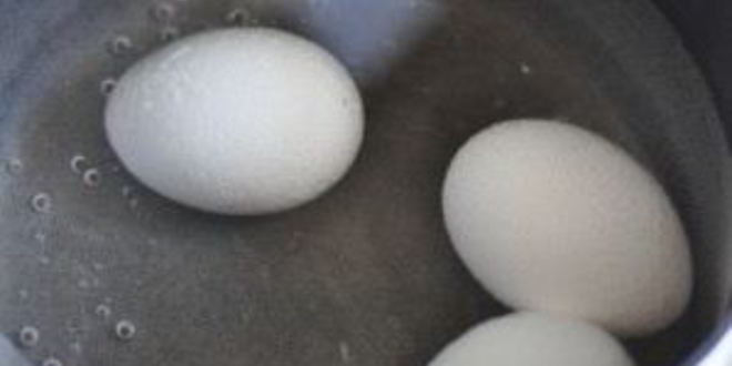 Рецепт яиц куриных фаршированных