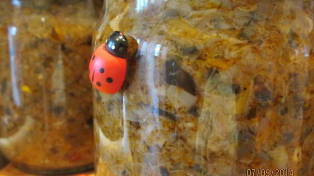 Как приготовить икру грибную