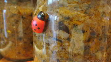 Рецепт Икры грибной