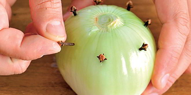 Рецепт холодца из бычьих хвостов