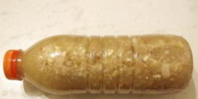 Рецепт холодца из курицы в бутылке