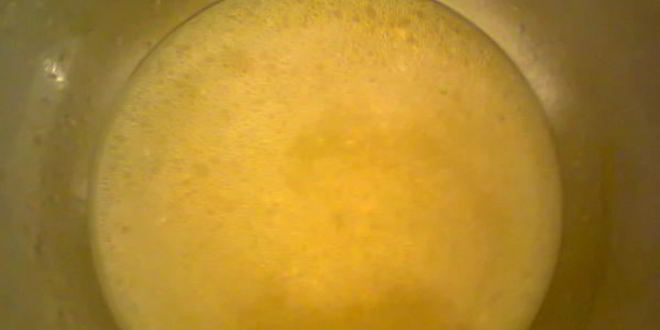 Рецепт холодца из свинины