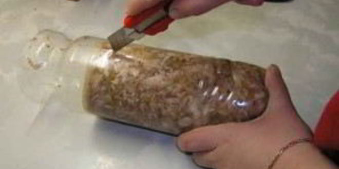 Рецепт куриного холодца в бутылке