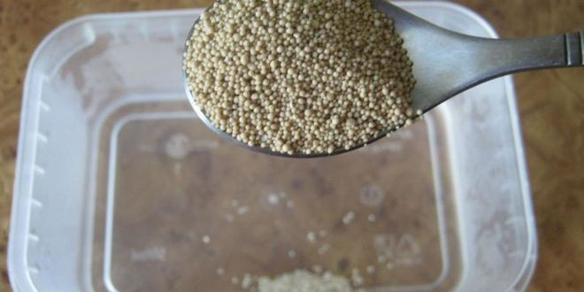 Рецепт булочек для хот догов