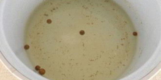 Рецепт консервированных помидоров с яблоками