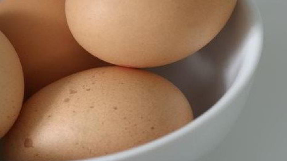 Как приготовить омлет с орегано в мультиварке