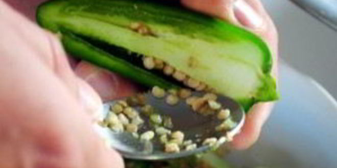 Рецепт острой закуски из перчиков