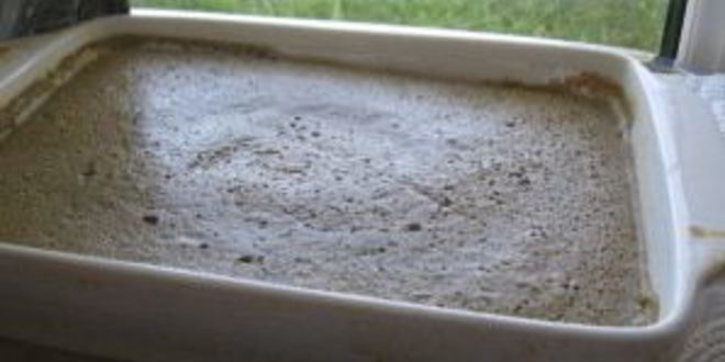 Рецепт диетического паштета из куриной печени