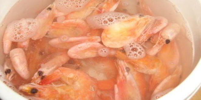 Рецепт ирландского паштета из креветок