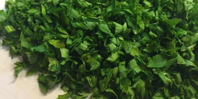 Рецепт паштета из белой фасоли с вялеными помидорами