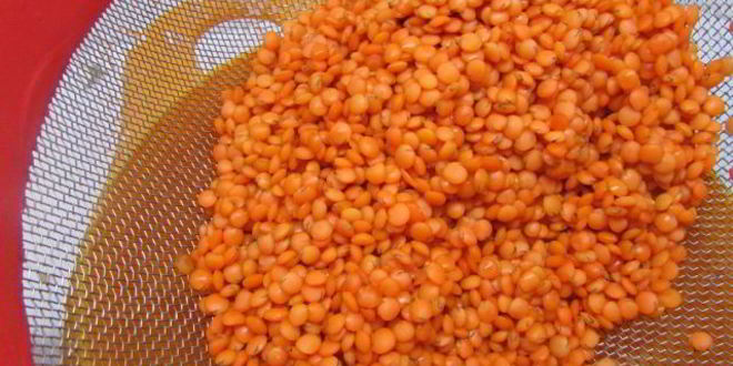 Рецепт паштета из чечевицы с курагой