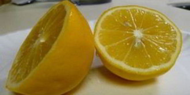 Рецепт паштета из индейки с рукколой