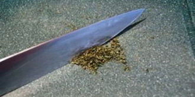 Рецепт паштета из индейки с рукколой