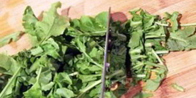 Рецепт паштета из индейки с рукколой