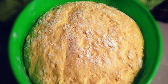 Рецепт паштета из куриной печени с тыквой и шампиньонами на тыквенном хлебе