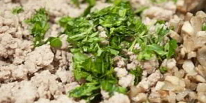 Рецепт паштета из телятины и грибов в слоеном тесте